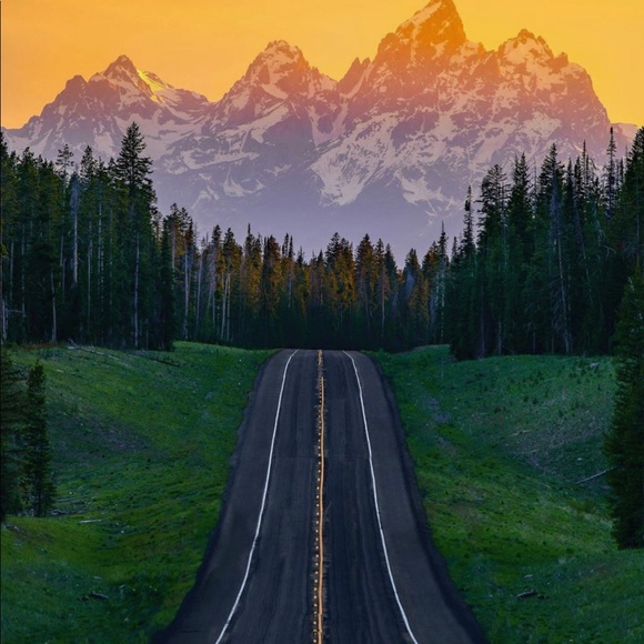 Meet your Posher, Josh - Picture 1 of 1